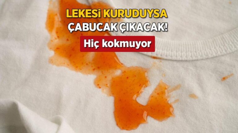 can-sikan-domates-lekesini-kokunden-kaziyor-soguk-su-sart-hic-kokmayacak-xWn4Q6J2.jpg